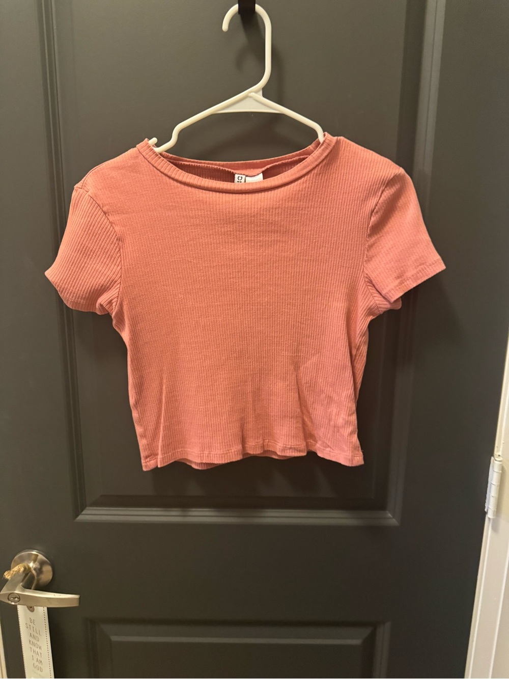 Ribbed Short Sleeve Crop Top - Dusty Rose
